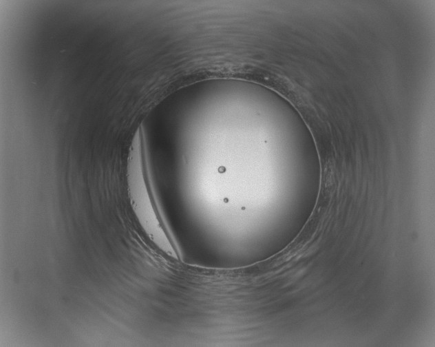 X0000076221202200609280912