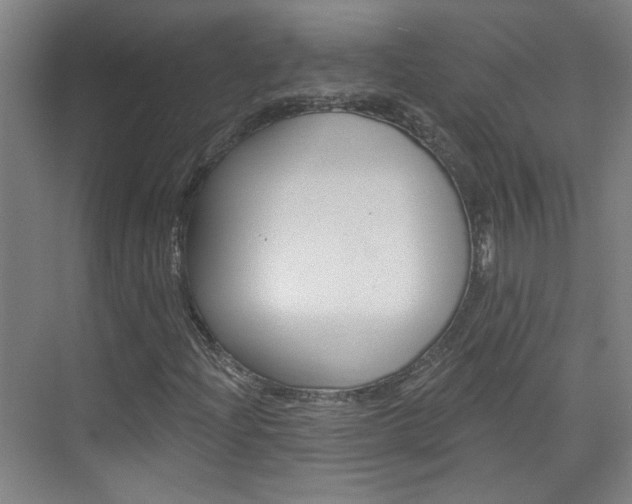 X0000076221204200609280912