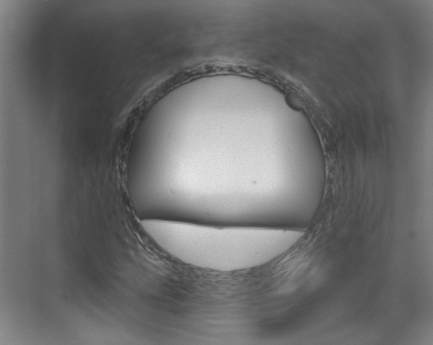 X0000076221207200609280913