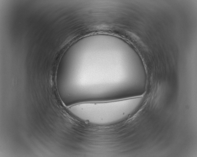 X0000076221209200609280913