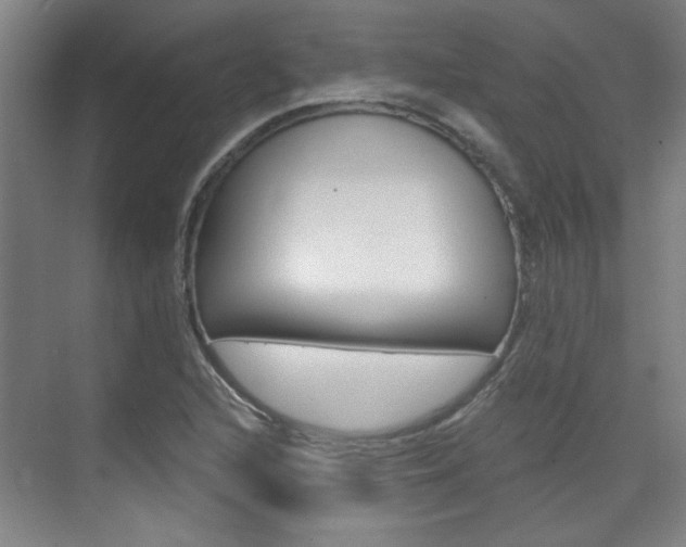 X0000076221216200609280913
