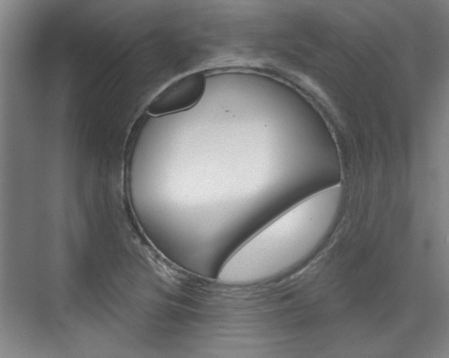 X0000076221220200609280913