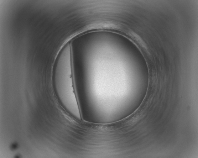 X0000076221226200609280913