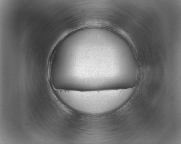 X0000076221227200609280913