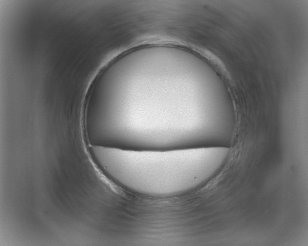 X0000076221231200609280913