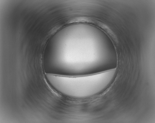 X0000076221233200609280913
