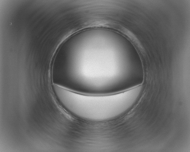 X0000076221234200609280913