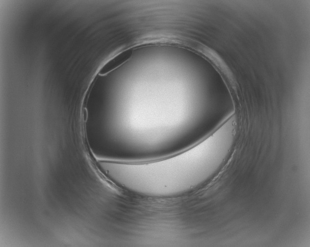X0000076221242200609280913