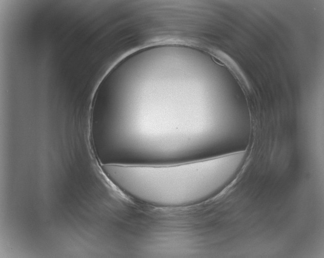 X0000076221244200609280913