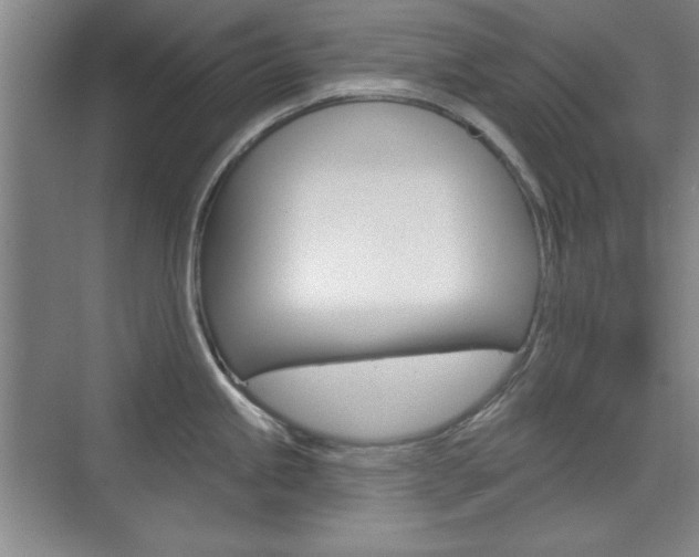 X0000076221245200609280913