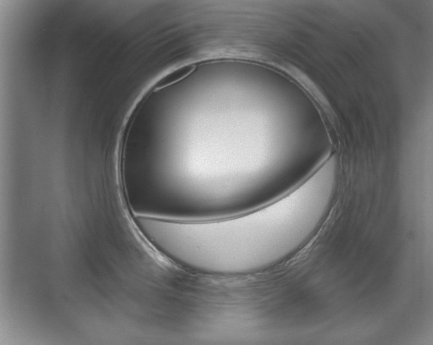 X0000076221246200609280913