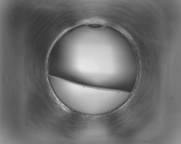 X0000076221248200609280913