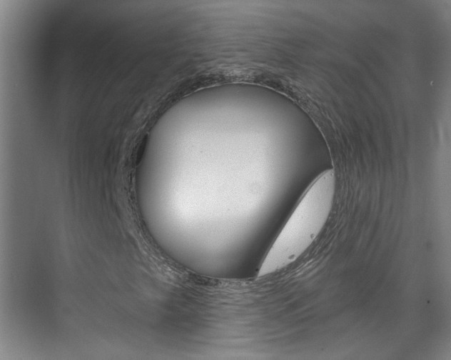 X0000076221249200609280912