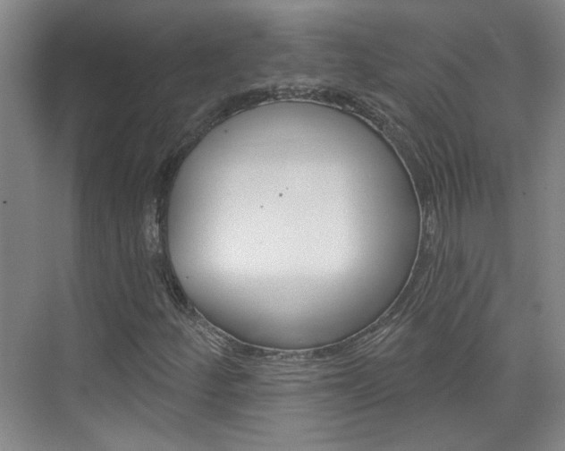 X0000076221252200609280912