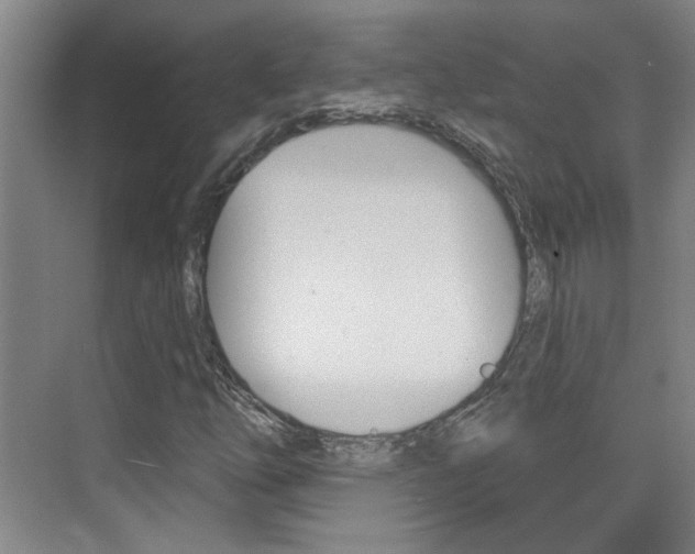 X0000076221254200609280912