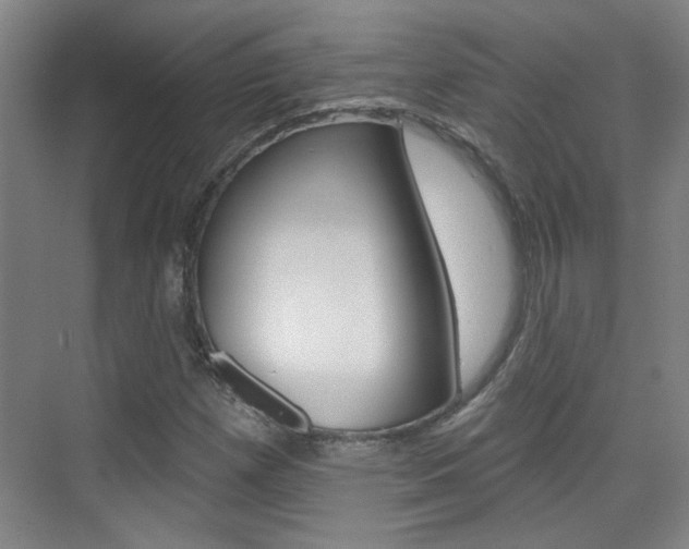 X0000076221257200609280912