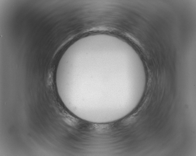 X0000076221258200609280912