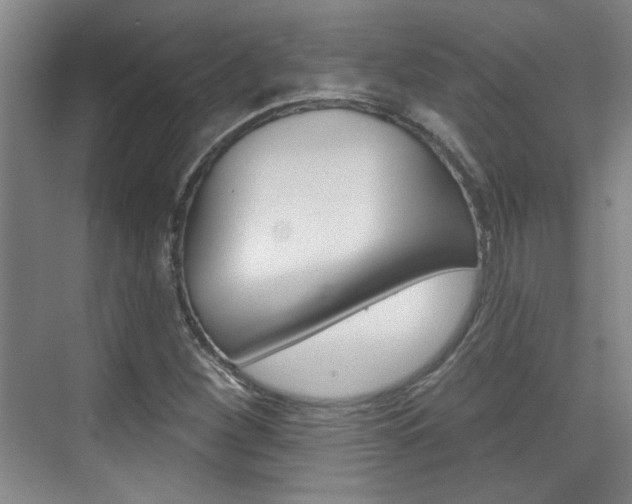 X0000076221260200609280912