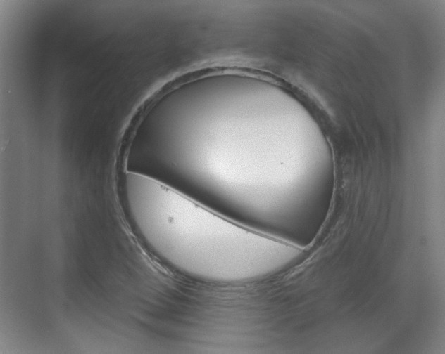 X0000076221264200609280912