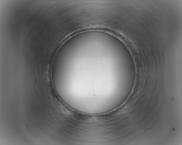 X0000076221265200609280912