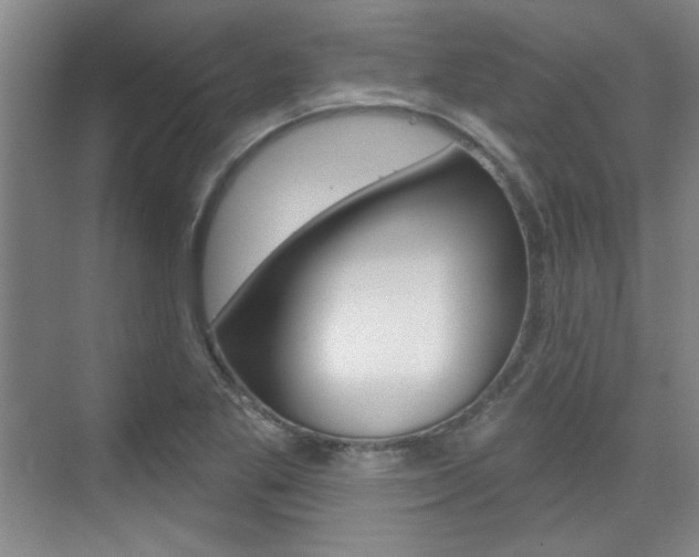 X0000076221269200609280912
