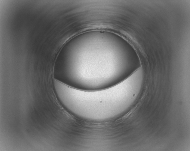 X0000076221273200609280912