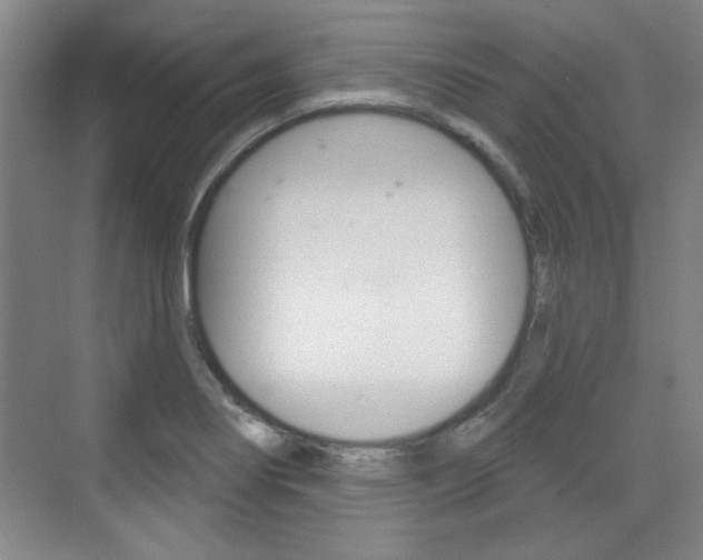 X0000076221274200609280912