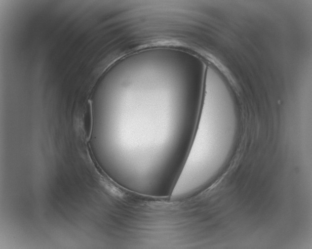 X0000076221281200609280912