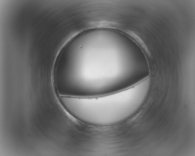 X0000076221285200609280912