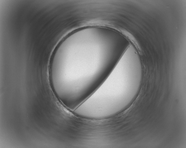 X0000076221288200609280912