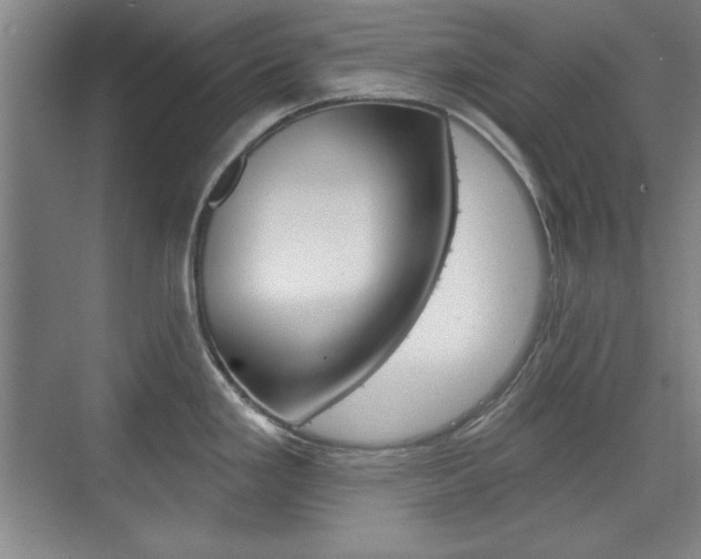 X0000076221293200609280912