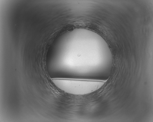 X0000076221297200609280911