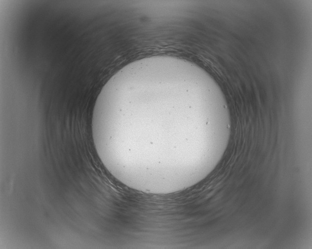 X0000076221298200609280911