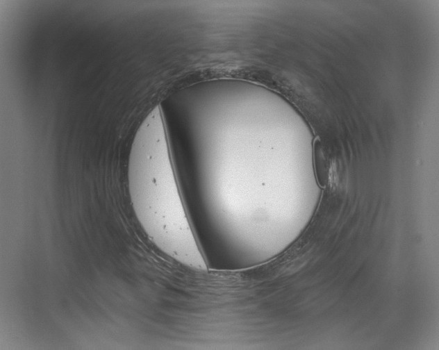X0000076221299200609280911