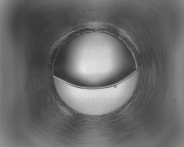 X0000076221304200609280911