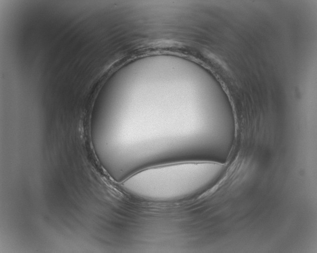 X0000076221305200609280911