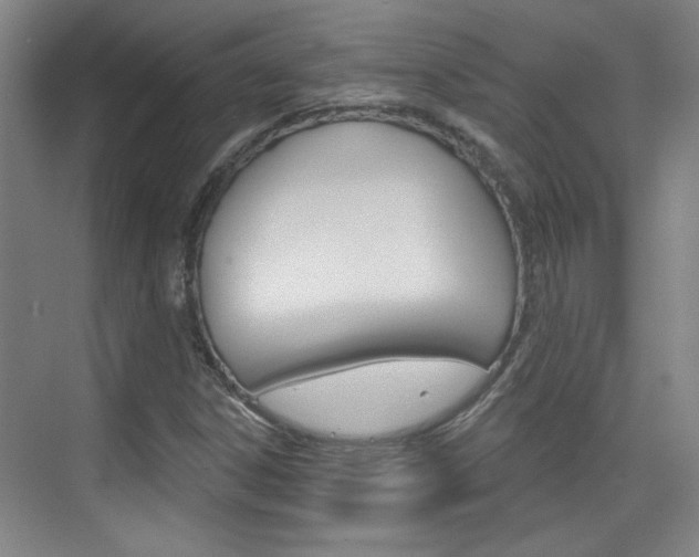 X0000076221306200609280911