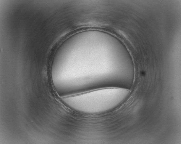 X0000076221307200609280911