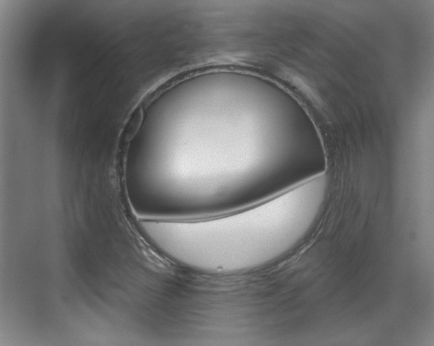 X0000076221308200609280911