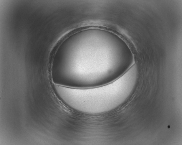 X0000076221312200609280911