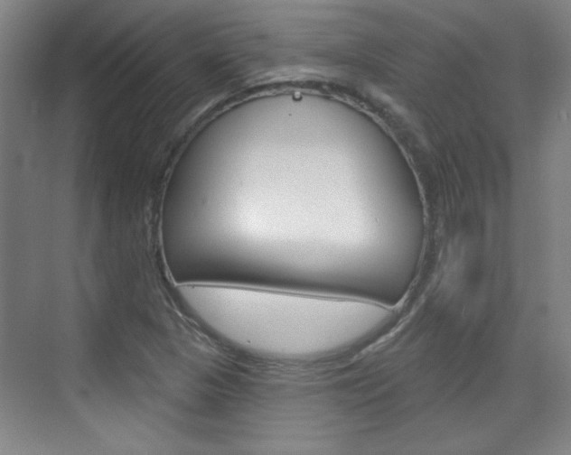 X0000076221313200609280911
