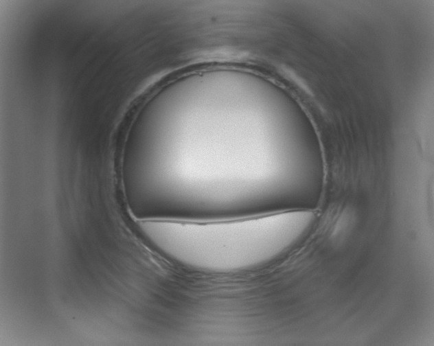 X0000076221315200609280911