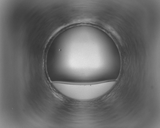 X0000076221316200609280911