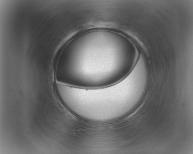 X0000076221317200609280911