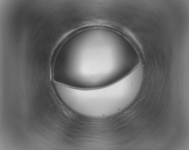X0000076221320200609280911