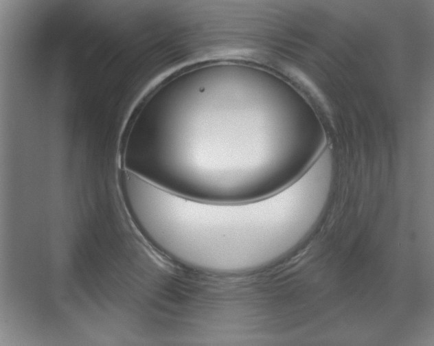 X0000076221324200609280911