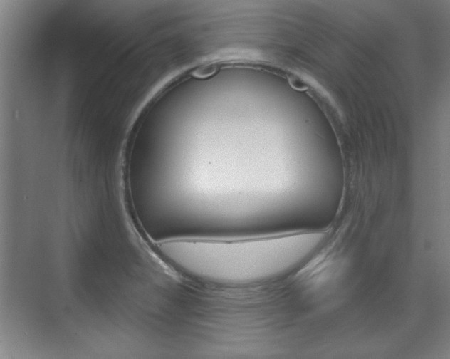 X0000076221325200609280911