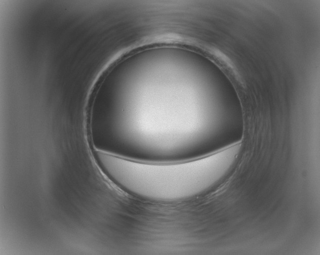 X0000076221326200609280911