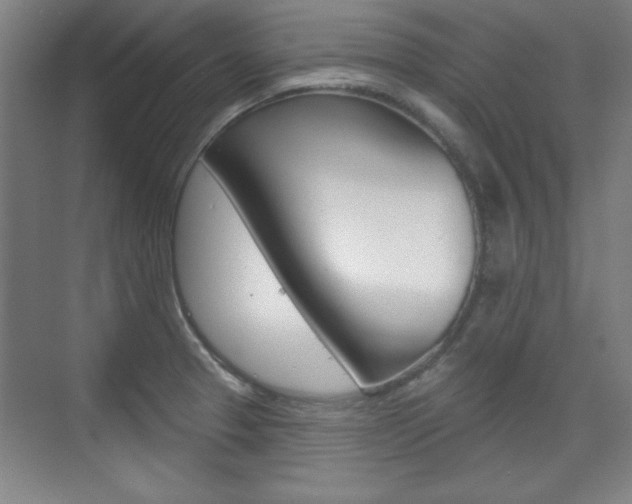 X0000076221329200609280911