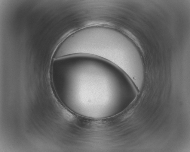 X0000076221330200609280911
